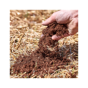 Tourbe disponible à prix de gros réduit pour l'agriculture et l'aménagement paysager - Product Image 3