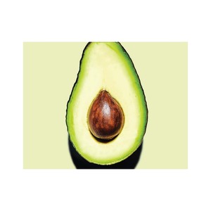 Vente en gros d'avocat frais de haute qualité - Product Image 5