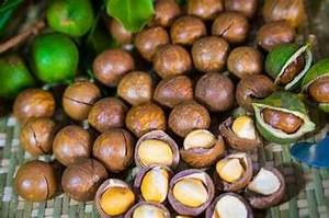 NOIX DE MACADAMIA PURES SOURCE D'ÉNERGIE NATURELLE SOUTIEN IMMUNITAIRE SUPERALIMENTAIRE SNACK - Product Image 6