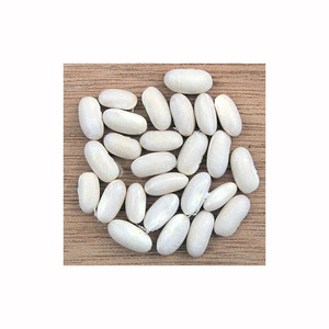 Frijoles blancos de alta calidad a precio mayorista para minoristas y exportadores - Product Image 1