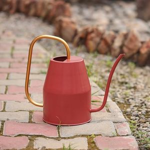 Arrosoir en métal de style ferme pour jardin, arrosoir ergonomique en métal pour une hydratation sans effort - Product Image 4