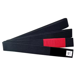 Cinturones de Jiu Jitsu, Taekwondo, Judo y Karate Personalizados, Duraderos y de Buena Calidad - Tela Personalizada de Secado Rápido y Transpirable - Product Image 2