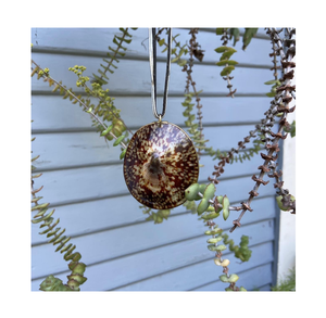 Fourniture de coquille de patelle de haute qualité pour la décoration de la maison et les bijoux d'artisanat d'aquarium de souvenirs - Product Image 1