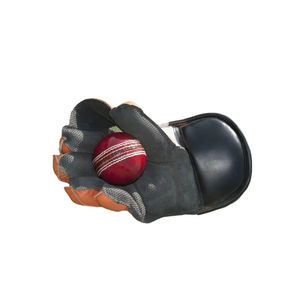 Kit de cricket avec ballon et batte en polyester, logo personnalisé, haute qualité, ensembles de cricket personnalisables pour les sports d'équipe - Product Image 2