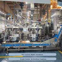 Machine professionnelle d'enrobage automatique de poudre et de liquide pour cacahuètes croustillantes enrobées de wasabi/cacahuètes enrobées de sel marin et noix de cajou enrobées de sel marin