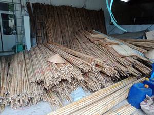 Venta al por mayor de caña de bambú seca a granel de proveedor de Vietnam de buena calidad para exportación - Product Image 5