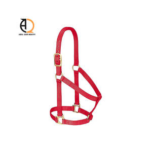 Licol en cuir de selle pour cheval avec boucle en laiton et accessoire en nylon pour cheval - Product Image 2