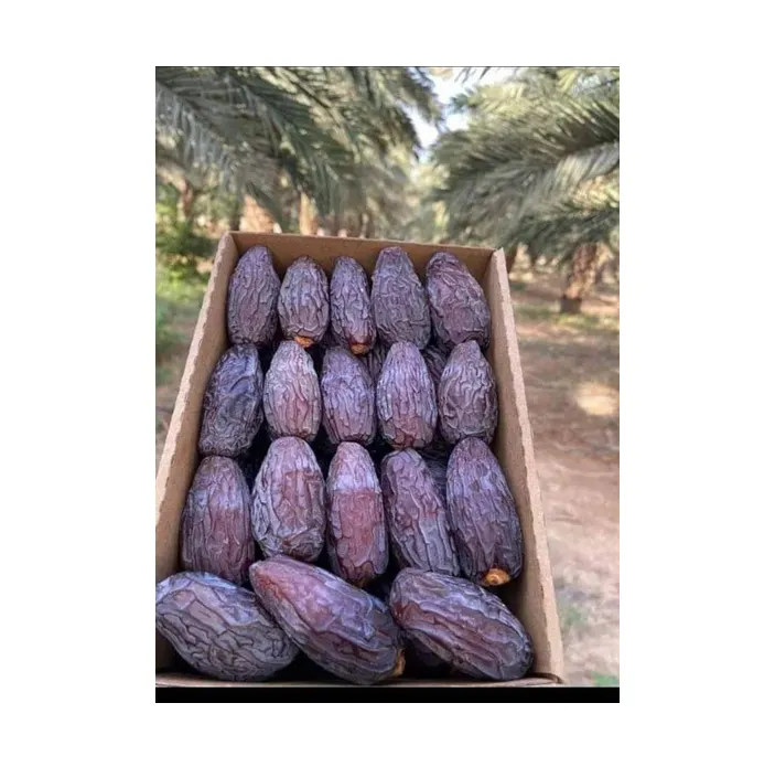 Dates fraîches de haute qualité les plus vendues en gros Dates Medjool naturelles et saines | Fournisseur de fruits secs d'Égypte