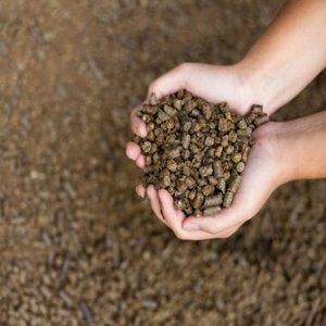 กากเมล็ดฝ้ายเกรดพรีเมียมสำหรับม้า สุกร และปลา - โปรตีน 60-65% สารเติมแต่งอาหารสัตว์สำหรับขาย - Product Image 1