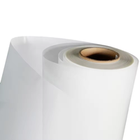 Rouleau de film DTF mat double face de haute qualité DTF ONE 33cm*100m en PET à pelage à chaud pour impression numérique par transfert thermique