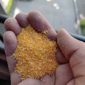 Venta al por Mayor de 101 Productos Saludables Naturales, Sémola de Maíz Amarilla Seca No Glutinosa, Grado Alimenticio, Almacenamiento Congelado para Humanos, Animales, Ganado Vacuno y Porcino - Product Image 3