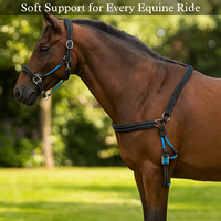 Ensemble de laisse et de collier pour cheval en cuir véritable réglable et durable, équipement d'entraînement équestre robuste, logo personnalisé, vente en gros