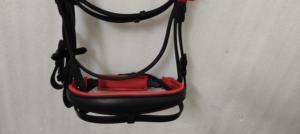 Banda de cejas de cristal de piedra de diseñador y relleno rojo con riendas Web Brida de cuero de doma disponible en la India. - Product Image 6