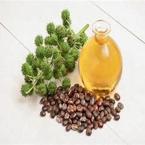 Haute qualité 100% graines de ricin naturelles séchées Ricinus Communis pour la cuisson-exportateur en vrac - Product Image 3