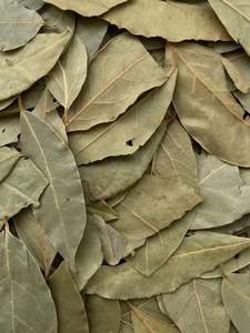 Hojas de Guanábana Secas Crudas Premium, Té de Durian Rojo Seco, Hojas de Graviola, Polvo Orgánico de Hoja de Graviola, Empaque Minorista o a Granel - Product Image 2