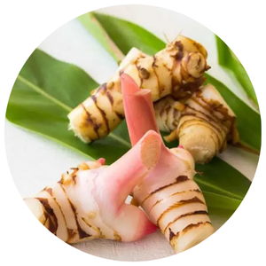 GALANGAL FRESCO CONGELADO, CALIDAD DE EXPORTACIÓN, HECHO EN VIETNAM Y A UN GRAN PRECIO - Product Image 5