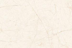 Orientbell Céramique 300X450 SDG Hibiscus Beige Lt Finition Brillante Carrelages pour Salle de Bain Cuisine Dosseret Toilette Mur Sol Carrelage - Product Image 2