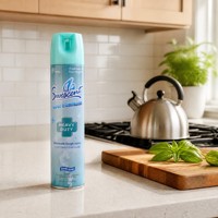 Désodorisant et neutralisant d'odeurs pour la maison, spray désodorisant pour les toilettes, éliminateur d'odeurs, désodorisant en aérosol