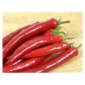 Légumes surgelés en gros IQF, piments rouges surgelés/piments forts surgelés frais du Vietnam - Product Image 2
