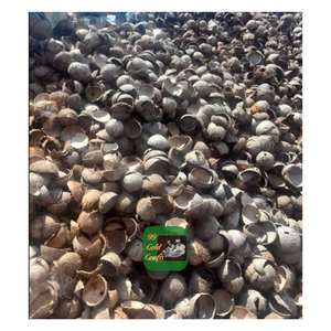 MATIÈRE PREMIÈRE QUALITÉ DE COQUE DE NOIX DE COCO DU VIETNAM POUR L'ARTISANAT ÉCOLOGIQUE ET L'INDUSTRIE DE FABRICATION DE CHARBON DE BOIS - Product Image 2