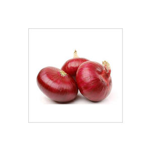 Cebollas Rojas frescas de calidad alimentaria de exportación de origen egipcio-Ampliamente vendidas naturales y deliciosas para compra a granel - Product Image 4