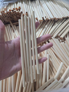 หลอดดูดน้ำจากหญ้าธรรมชาติสำหรับธุรกิจบริการอาหารและตลาดจำหน่าย สินค้าส่งออกยอดนิยมพร้อมราคาที่แข่งขันได้ - Product Image 2