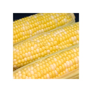 Maíz amarillo/amarillo para consumo humano, no gmo, amarillo, para alimentación animal, palomitas de maíz - Product Image 6