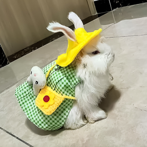 Conjunto de Chaleco de Conejito Adorable para Invierno, Primavera y Verano, Patrón Geométrico, Disfraz de Conejo para Mascotas, Transpirable, Cálido, de Lana Occidental, Elegante - Product Image 3