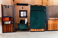 Rideau de box pour chevaux matelassé de qualité supérieure 2026 avec fenêtre en maille respirante et imperméable, séparateur de box pour écuries équestres