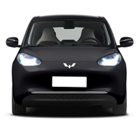 Wuling Bingo Plus Véhicule électrique de sport Chine Mini SUV électrique Véhicule électrique Mini voiture électrique RHD
