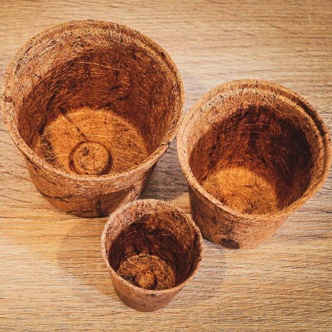 ธรรมชาติ