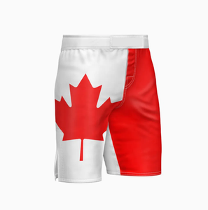 Vente en gros d'usine Taille Plus Extensible Combat MMA Kick Boxing Muay Thai Arts Martiaux Kick Boxing Shorts Sublimé Mma Short - Product Image 4