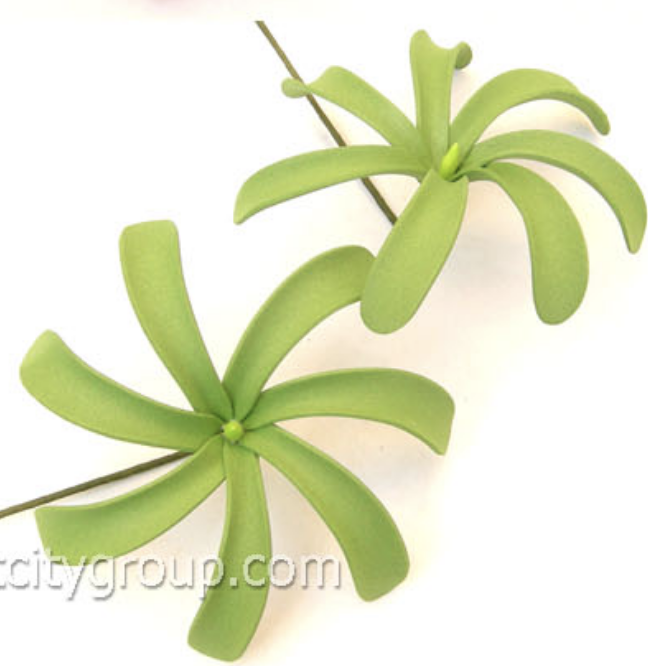 สีเขียว