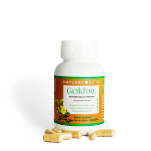 Complément alimentaire antioxydant Gokhru pour adultes et adolescents, non destiné aux femmes enceintes - Product Image 2