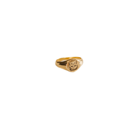 Anillo Ajustable de Acero Inoxidable Moderno con Grabado Personalizado para Aves y Reptiles - Accesorios Ecológicos, Ligeros y Reutilizables para Mascotas