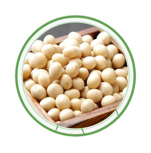 Top Sale <b>Soybeans</b> Guaranteed Quality Common Plant Yellow Soya Bean Seed - Product Image 2