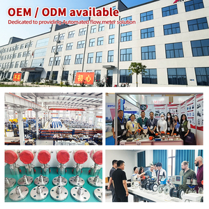 Medidor de Flujo de Líquidos Pequeño, Medidor de Flujo de Aceite Combustible, Aceite Hidráulico, Glicerina, Resina, Pintura, Micro Medidor de Flujo de Engranajes Ovalados con Salida de Pulsos - Product Image 6