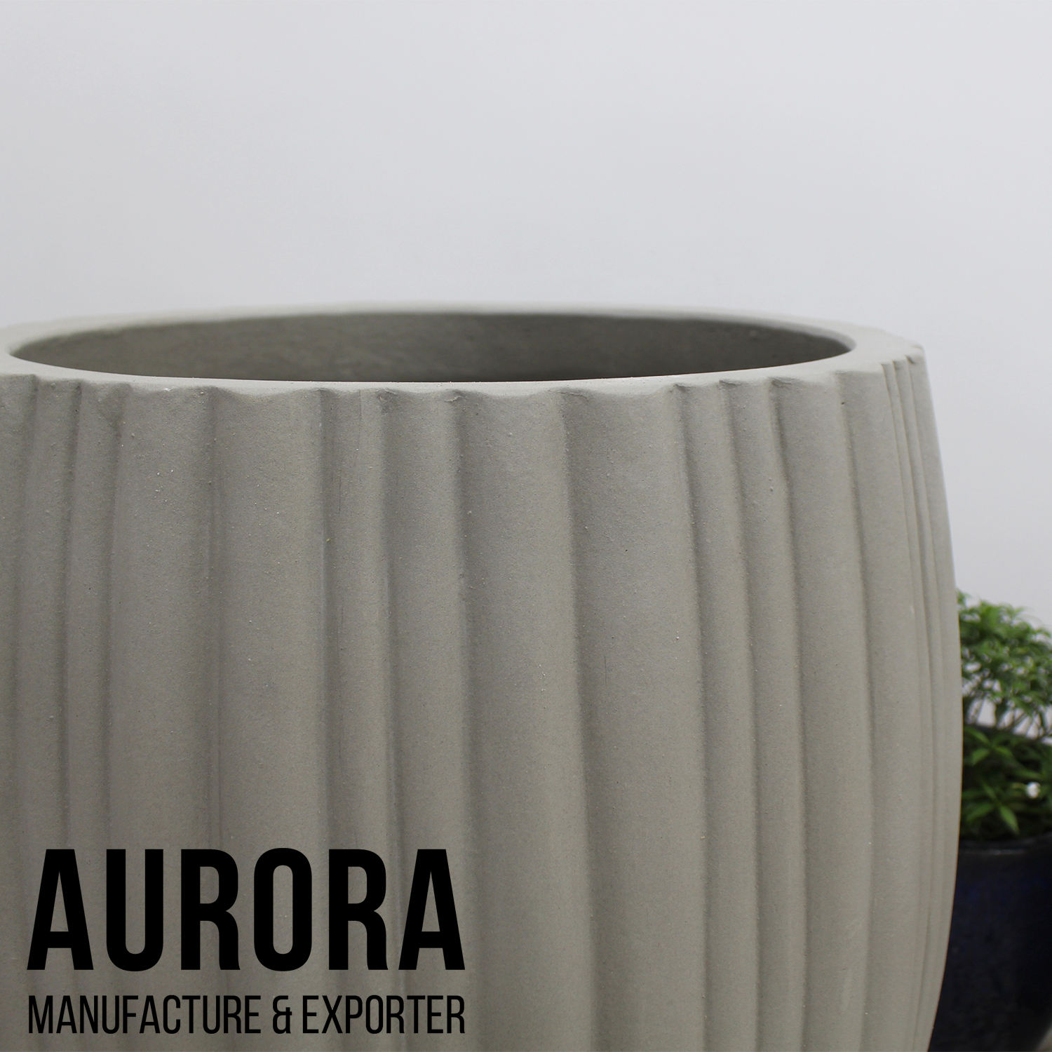 ซีเมนต์