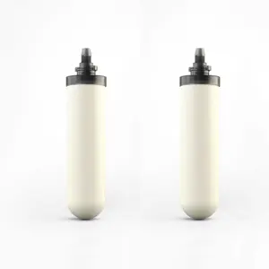 Cartuchos de filtro de cerâmica Spirit 7 polegadas com grânulos de Carvão ativado para filtro de água potável em aço inoxidável, super vendidos