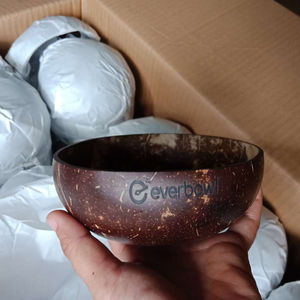 Tazón de Coco Vietnamita Ecológico, Tazón de Cáscara de Coco, Juego de Tazón y Cuchara de Cáscara de Coco - Product Image 1