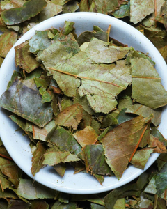 Hojas de Guanábana Secas a Granel para Té, Orgánicas y Naturales - Product Image 1