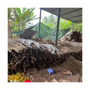 Bâton de balai de noix de coco-EXPORTATION DIRECTE DE L'USINE DU VIETNAM avec MATÉRIAUX ÉCOLOGIQUES, QUALITÉ DURABLE et DEMANDE MONDIALE - Product Image 1