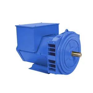 Reliable Chinese Alternator for International Customers - Single Phase 22-43kVA Brushless AC Alternators