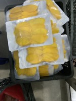 500G Zak Met Rits-Gedroogde Zachte Mango Met Natuurlijke Zoete Smaak-Droge Mango Plakjes Van Vietnam Fabrikant-Anna Do Vilaconic