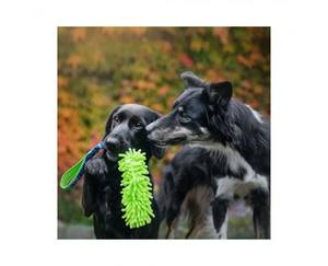 Toptan köpek römorkör oyuncak şok emici dayanıklı <span class=keywords><strong>Pet</strong></span> halat interaktif oyun ve getir için - Product Image 5