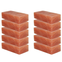 Briques et carreaux de sel rose de l'Himalaya de haute qualité, fabriqués à la main, résistants aux acides, design moderne pour salon et cuisine