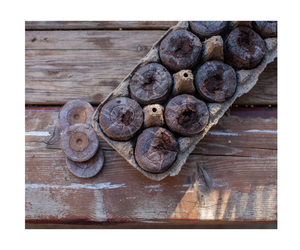 Coco <b>Coir</b> Disc Pellets Tablets for Seed Starting Plant Growing Eco Friendly Natural No Chemical Origin Vietnam - Product Image 6