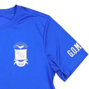Phi Beta Sigma Dry Fit Tee Royal Blue <b>100</b>% <b>Polyester</b> Moisture Wicking T <b>Shirt</b> Greek Life Fraternity Apparel with Printed Logo - Product Image 3