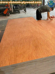 Contreplaqué de qualité d'emballage bon marché 3mm/5mm/9mm/15mm pour palette et emballage Vietnam prix usine de contreplaqué - Product Image 4