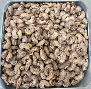 Roasted Cashew <b>Nuts</b> with Skin Wholesale Factory High Quality Vietnam Cashew <b>Nuts</b> New Crop 2023 - Product Image 5